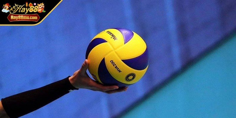Cá cược bóng chuyền đang trở thành lựa chọn số 1 cho những ai yêu thể thao 