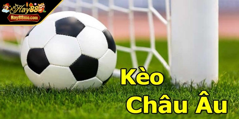 Mẹo soi tỷ lệ cược châu âu chuẩn chỉnh là hiểu rõ trận đấu